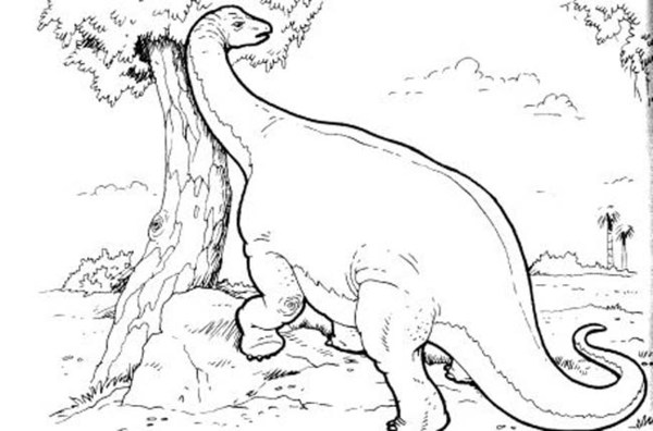 kolorowanka-dinozaur_46