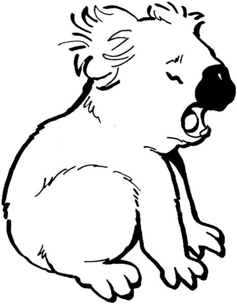 kolorowanka-koala_281