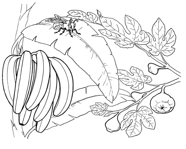 kolorowanka-z-bananami_597