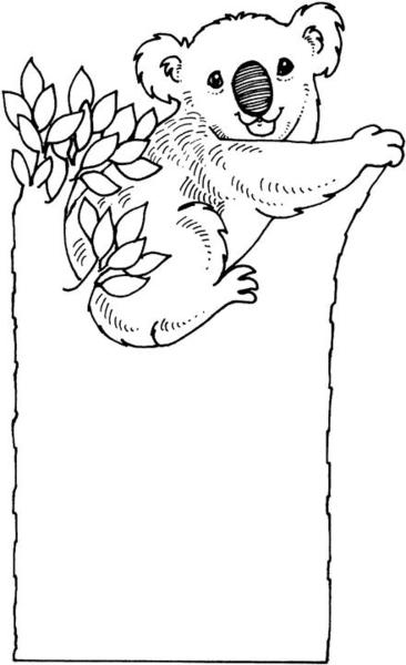 kolorowanka-z-koala_283