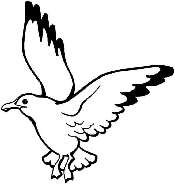 kolorowanka-mewa_466