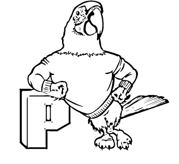 kolorowanka-z-papuga_449