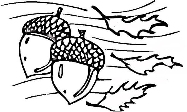 kolorowanka-zoledzie_551