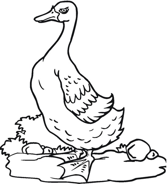 kolorowanki-ges_442