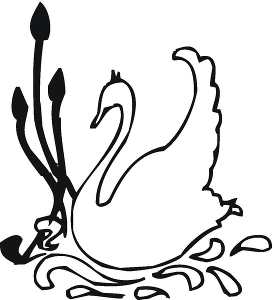 malowanak-z-labedziem_492