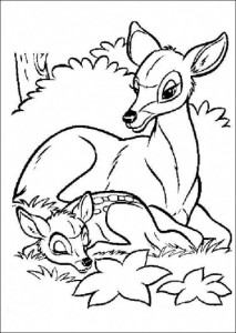 bambi śpi obok mamy