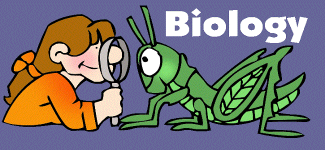 Wierszyki Biologiczne