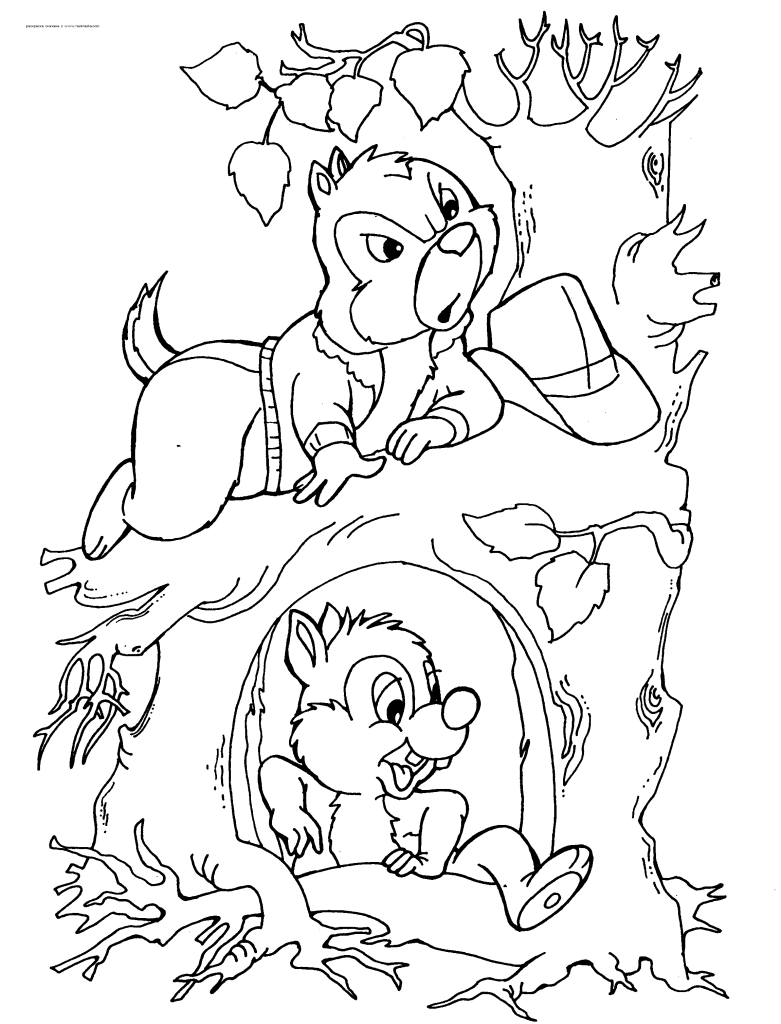 Chip i Dale (16)