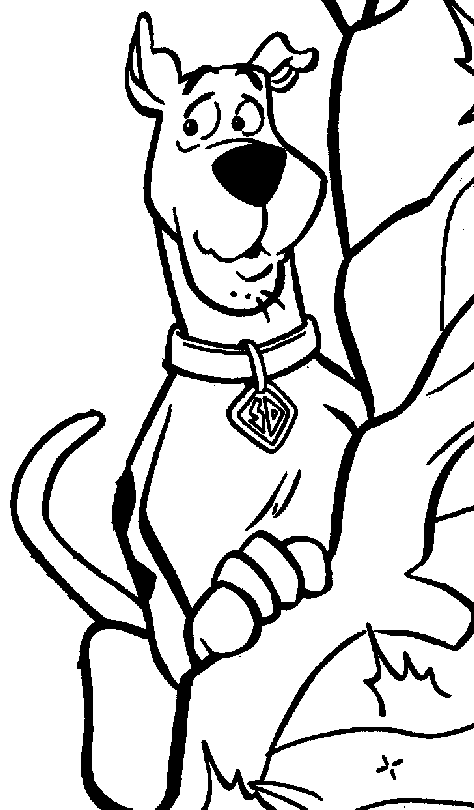 Scooby Doo (11)