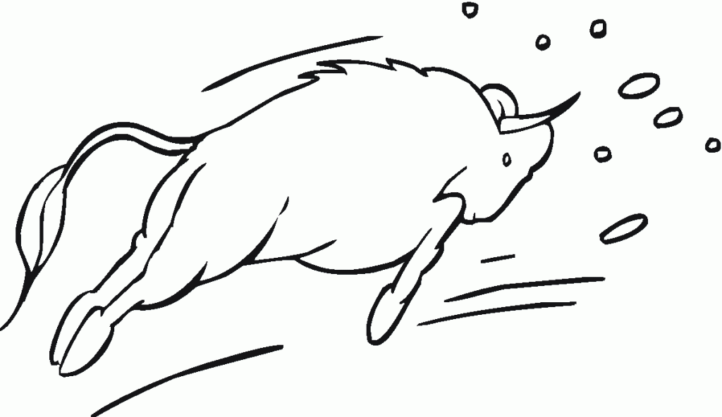 byki (14)