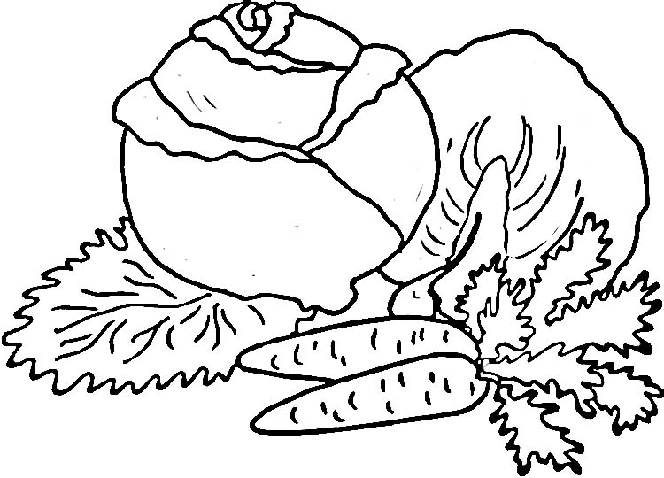 Kapusta (5)