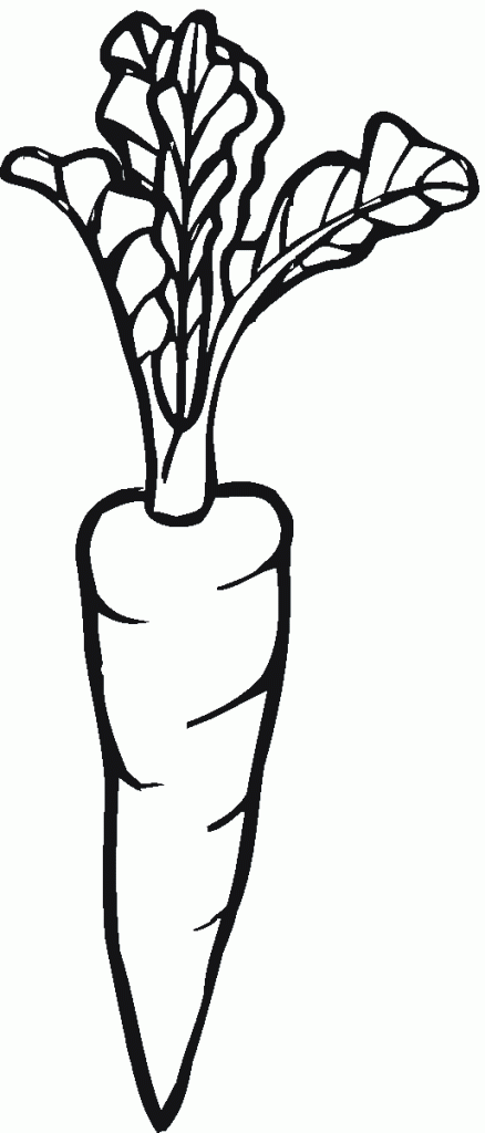 Marchewka (10)