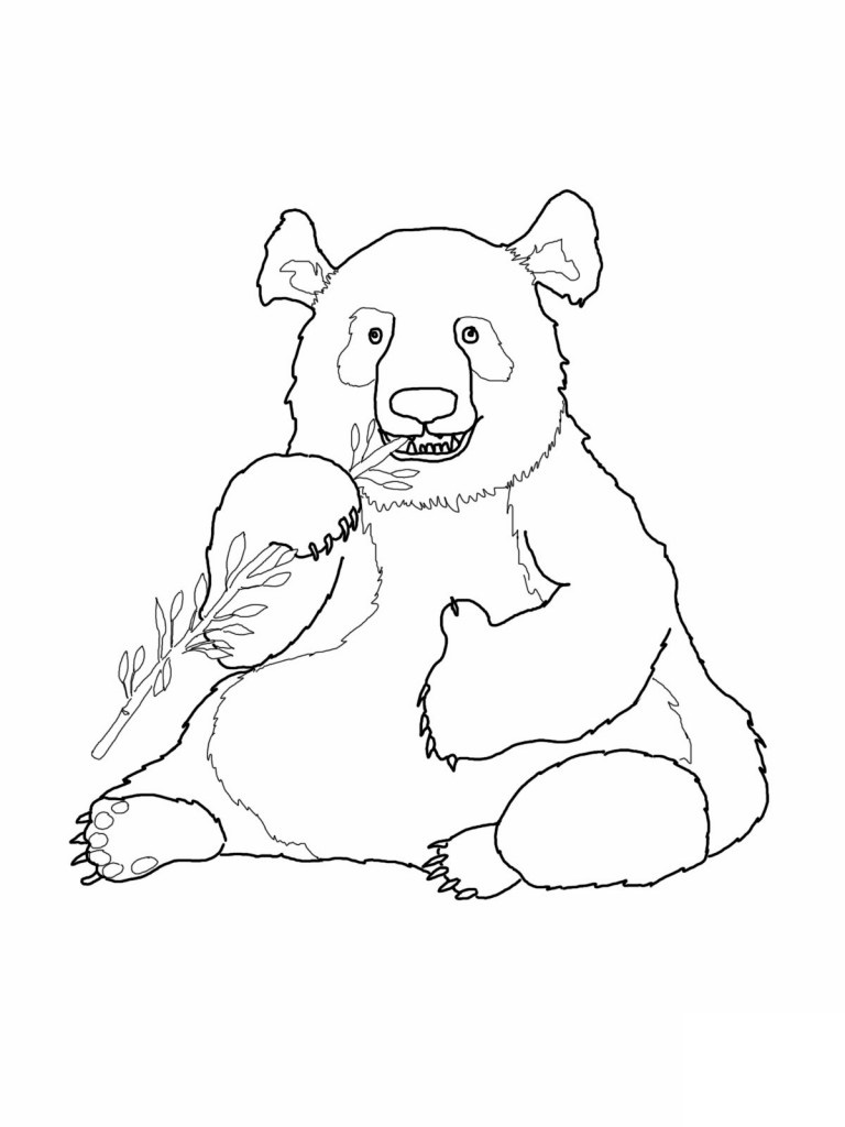 Urocza panda- pokoloruj obrazek