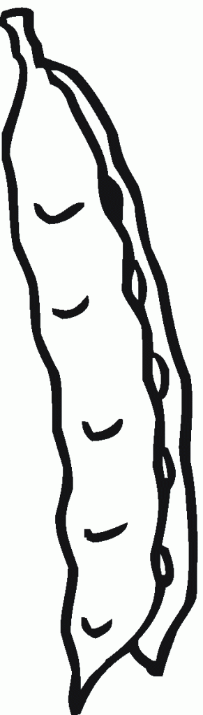 groch (4)
