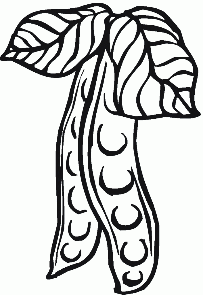 groch (7)
