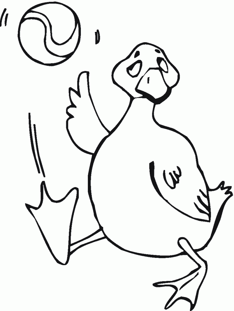 gęś (2)