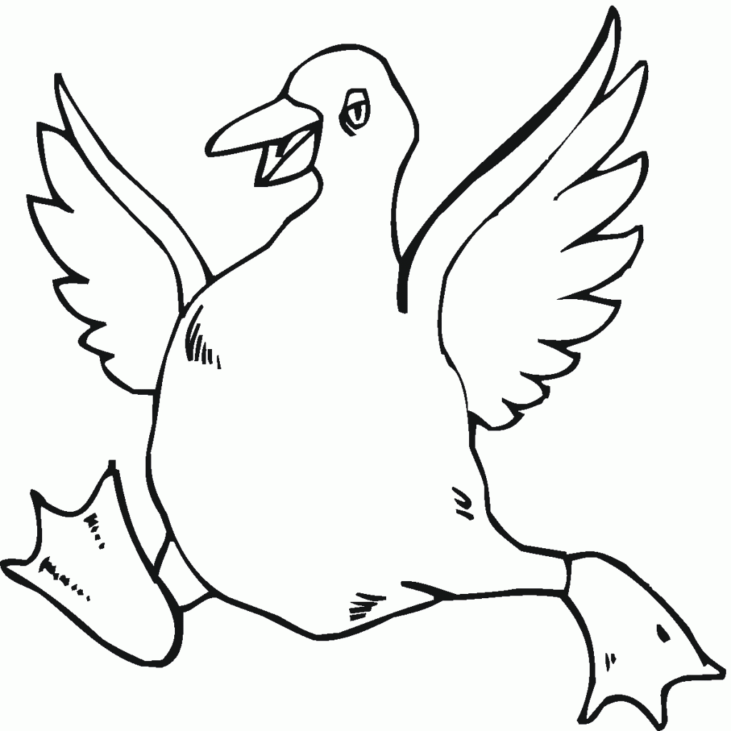 gęś (7)