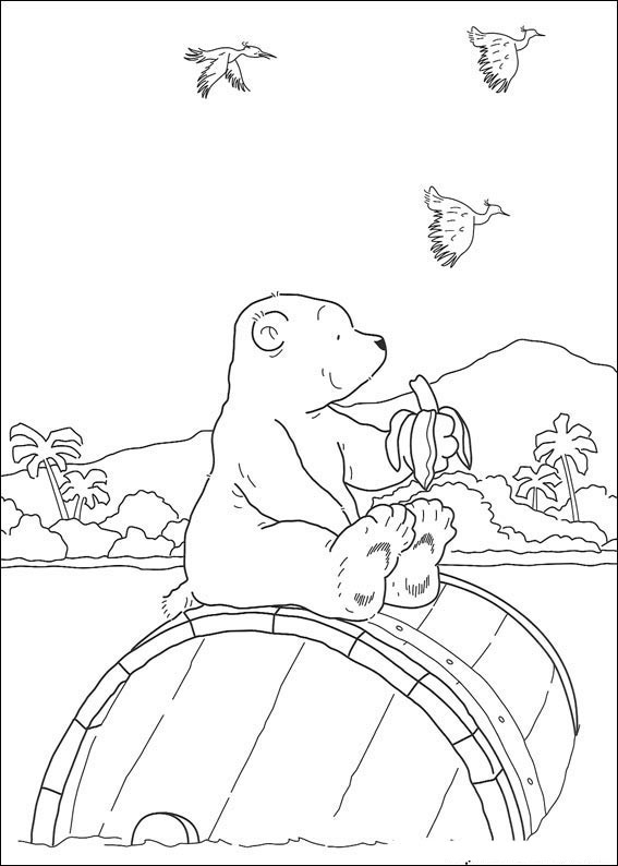 mAŁY mIŚ pOLARNY (7)