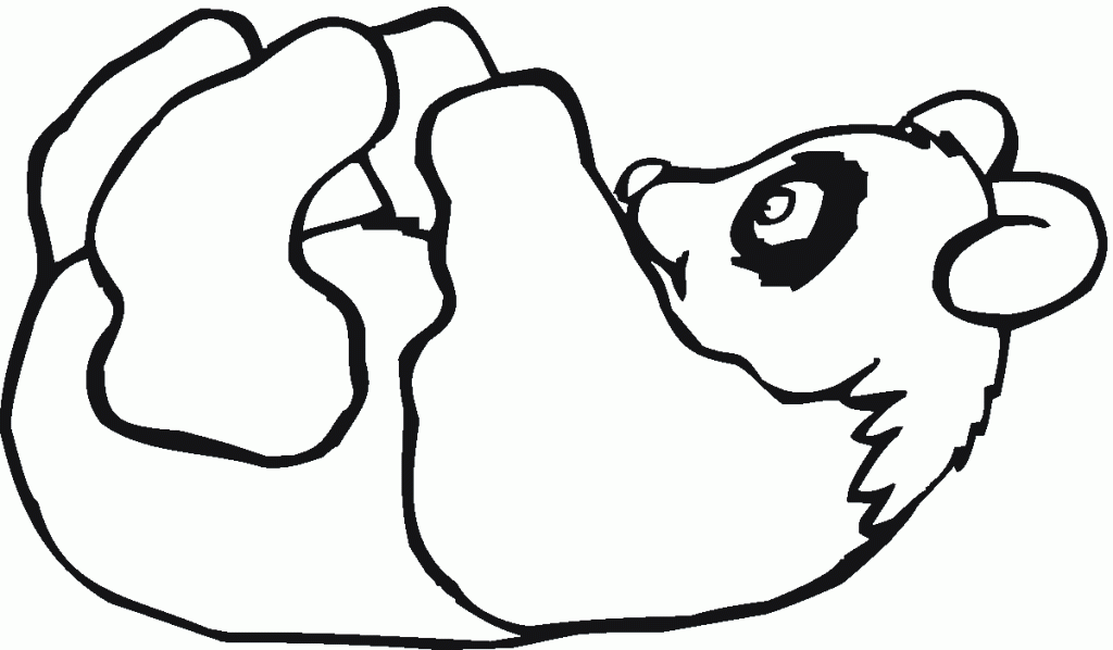 panda (4)