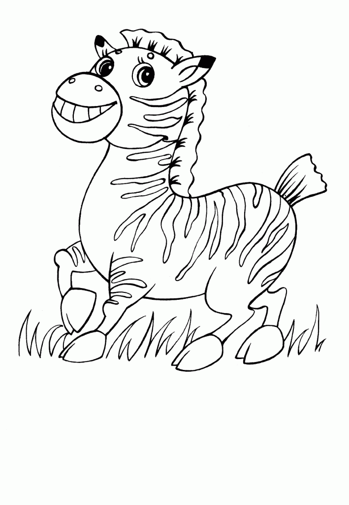 zebra