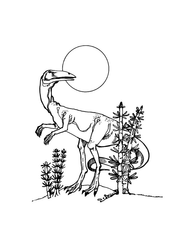 kolorowanka dinozaur