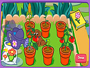 403sadzenie-kwiatkow-dora-online