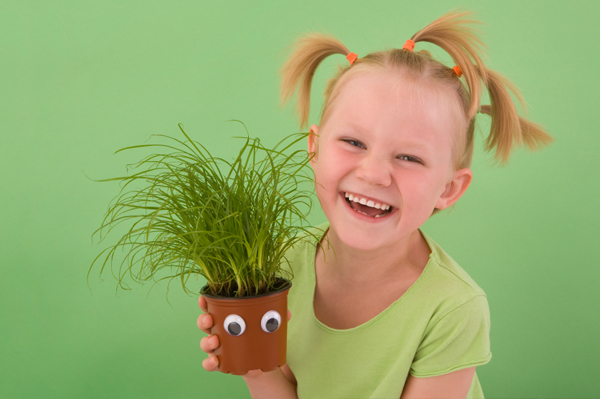 Z ekologią za pan brat