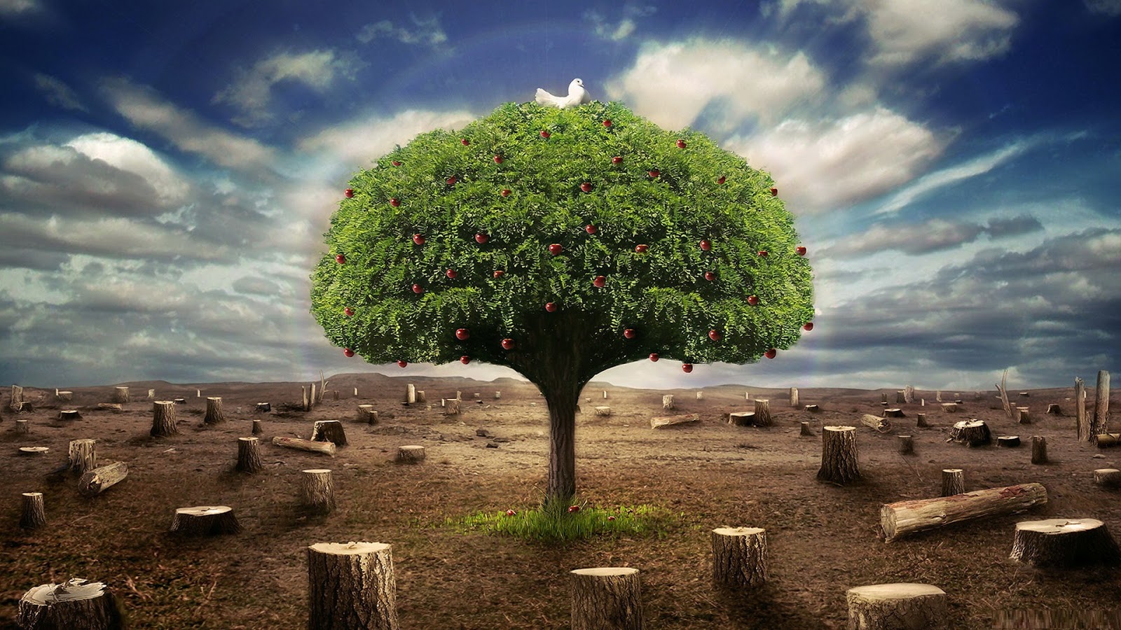 Segregacja śmieci w przedszkolu